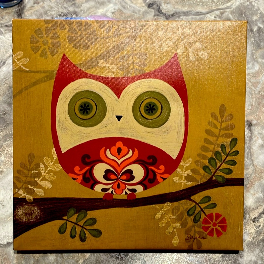 Picture Owl Pattern 12x12